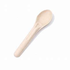 BAGASSE SPOON 20 X 50PCSPCS