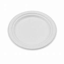 BAGASSE PLATE 10" 500PCS