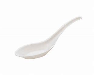 BAGASSE CHINESE SPOON 1000PCS