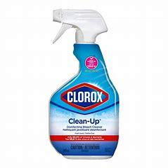 CHLOROX BLEACH SPRAY