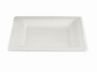 BAGASSE PLATE 10" SQUARE 500PCS