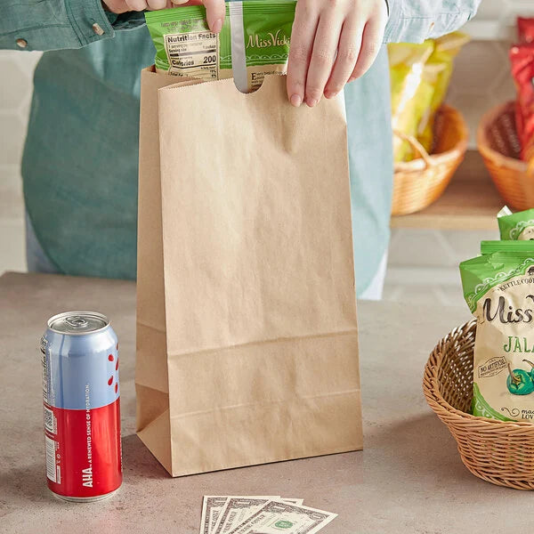 BAG PAPER #12 KRAFT 500PCS