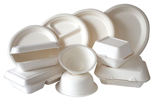 Bagasse