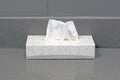 Villa Facial Tissue 100 Shts - 30 Box/case