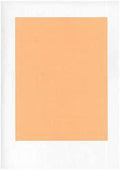 STEAK PAPER PEACH 9X12 1000SHTS
