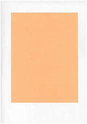 STEAK PAPER PEACH 9X12 1000SHTS