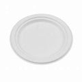 BAGASSE PLATE 10" 500PCS