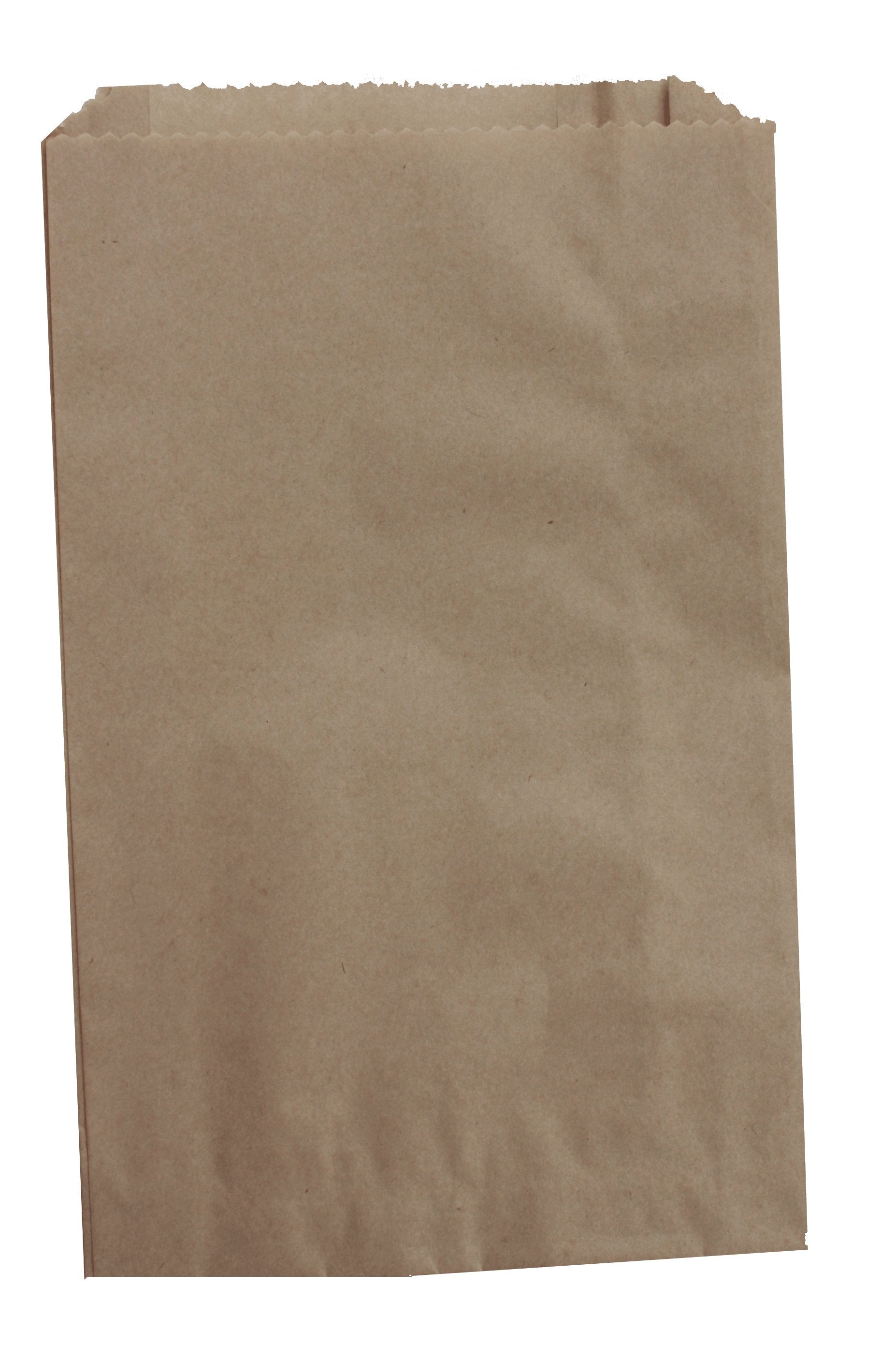 NOTION BAG KRAFT - 9 X 12 - 500PCS