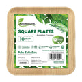 SQUARE PLATE 10IN 12X12PCS