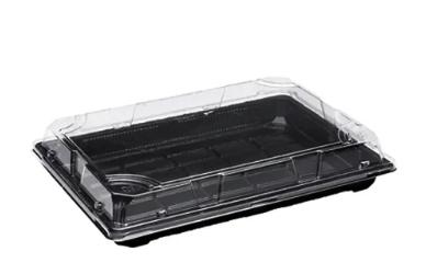 SUSHI TRAY SETS 7.25X5 400PCS