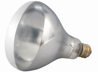 HEAT LAMP BULB WHITE 250W