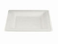 BAGASSE PLATE 10" SQUARE 500PCS