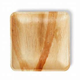 SQUARE PLATE 6" PALM LEAF 12X12PCS