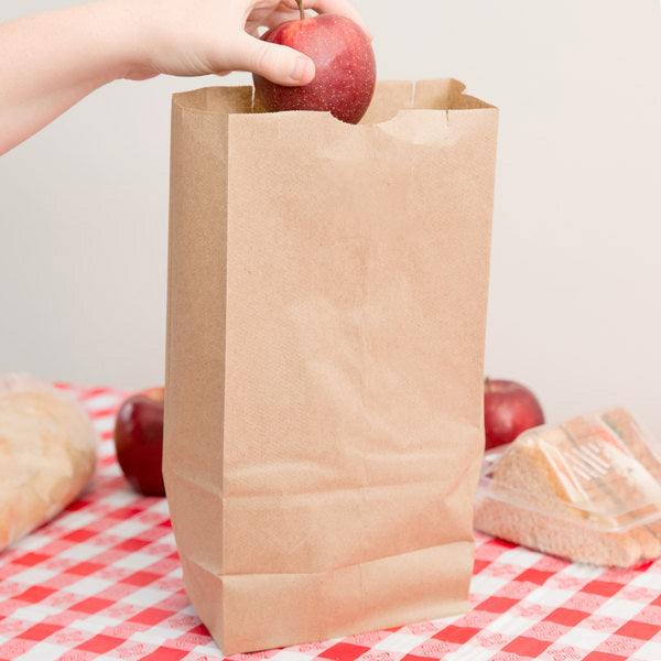 PAPER BAGS - KRAFT - 8lb - 500 pcs