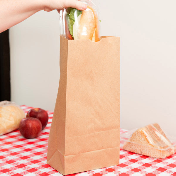 PAPER BAGS - KRAFT - 10lb - 500 pcs