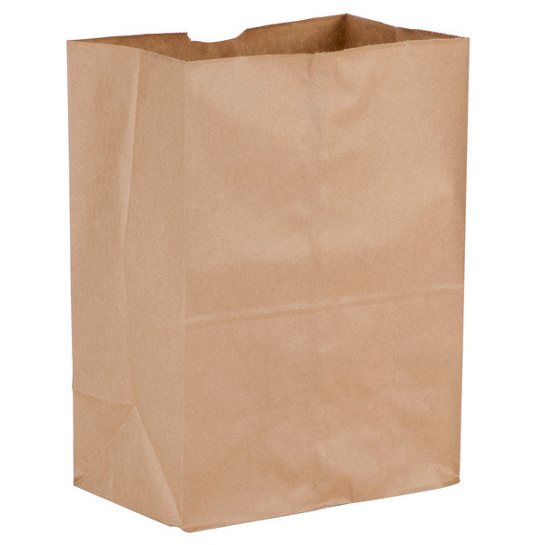 PAPER BAGS - KRAFT - 10x6.75x14 - 500 pcs